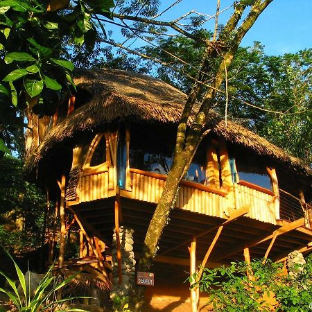 Vanira Lodge Teahupoo Exterior photo