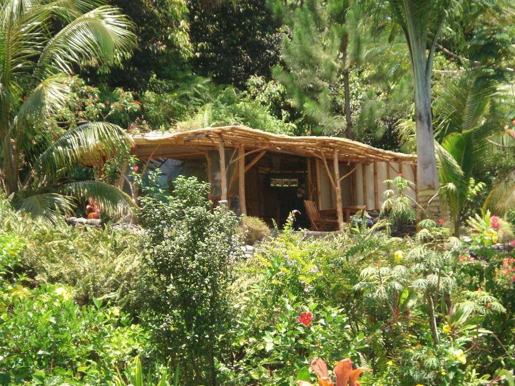 Vanira Lodge Teahupoo Room photo
