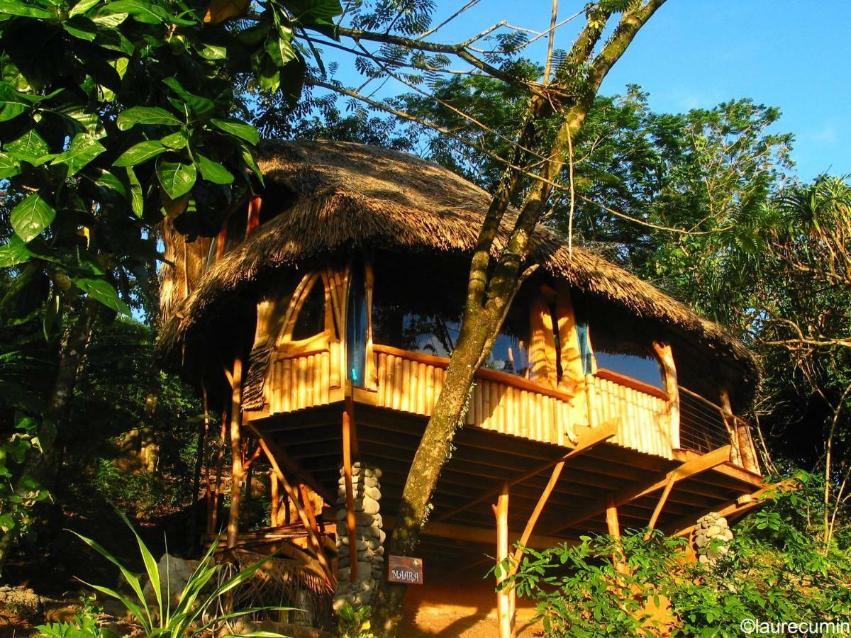 Vanira Lodge Teahupoo Exterior photo
